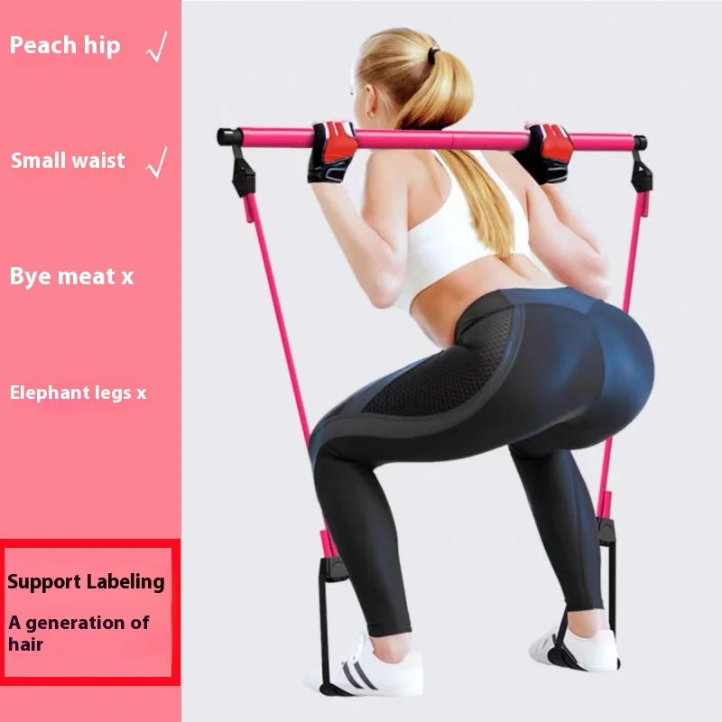 Apex Motion Resistance Pilates Bar Kit